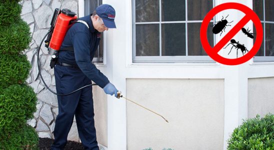 Evka 4 Hamam Böceği İlaçlama böcek ilaçlama ve haşere kontrolü — ilaclama-tr.com